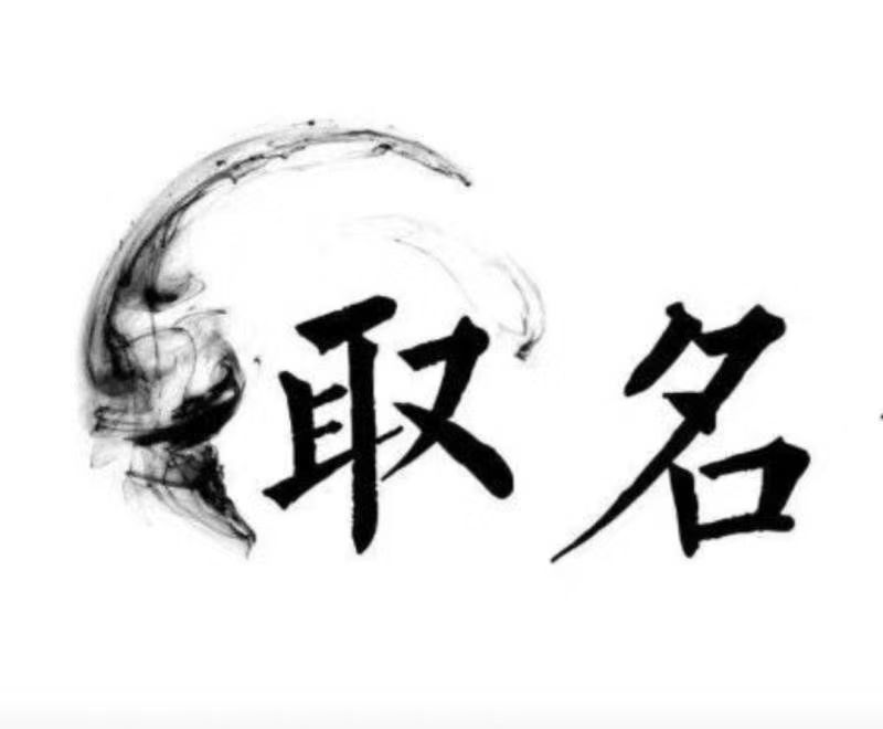  商洛宝宝取名 大师一对一人工起名